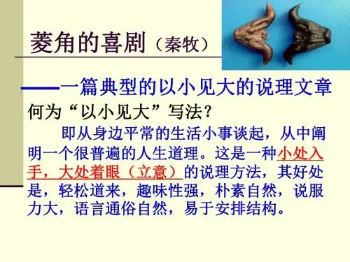高中语文《菱角的喜剧》PPT17