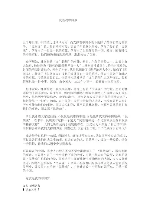 民族魂中国梦