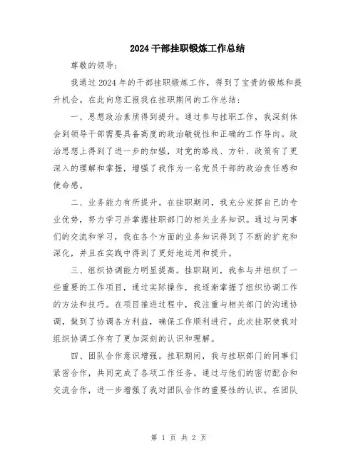 2024干部挂职锻炼工作总结