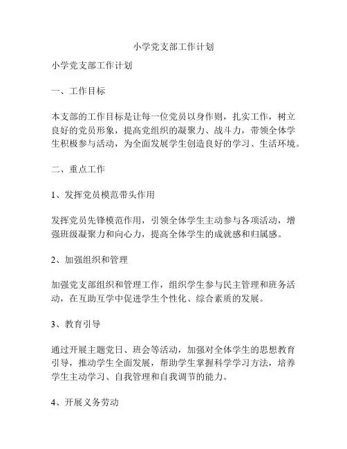 小学党支部工作计划