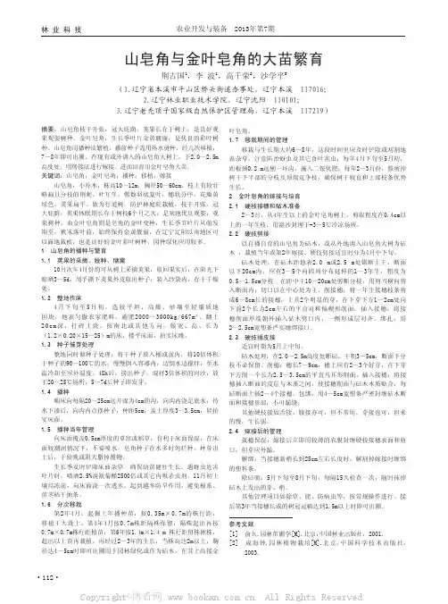 山皂角与金叶皂角的大苗繁育