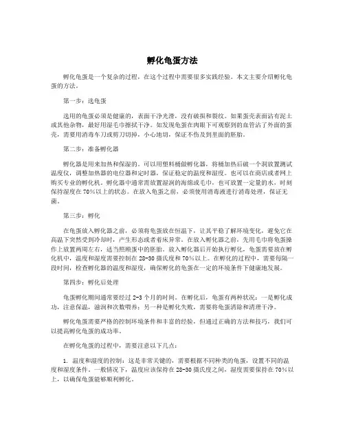 孵化龟蛋方法