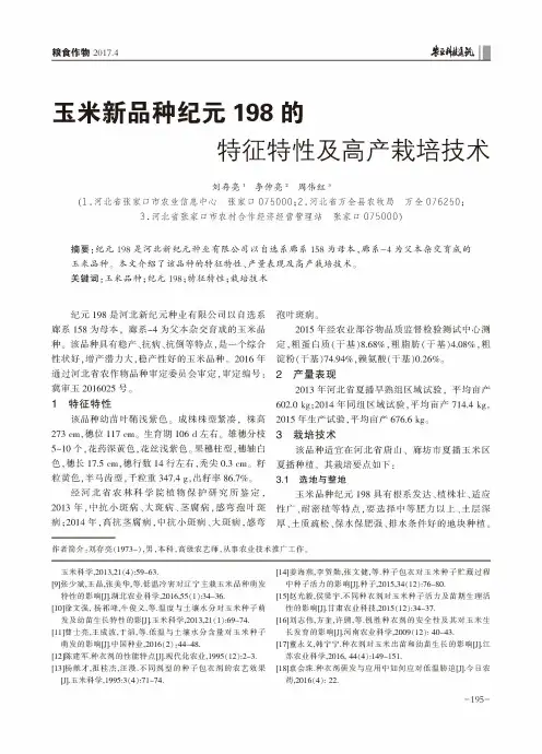 玉米新品种纪元198的特征特性及高产栽培技术