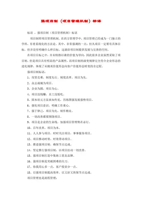 强项目制(项目管理机制)标语