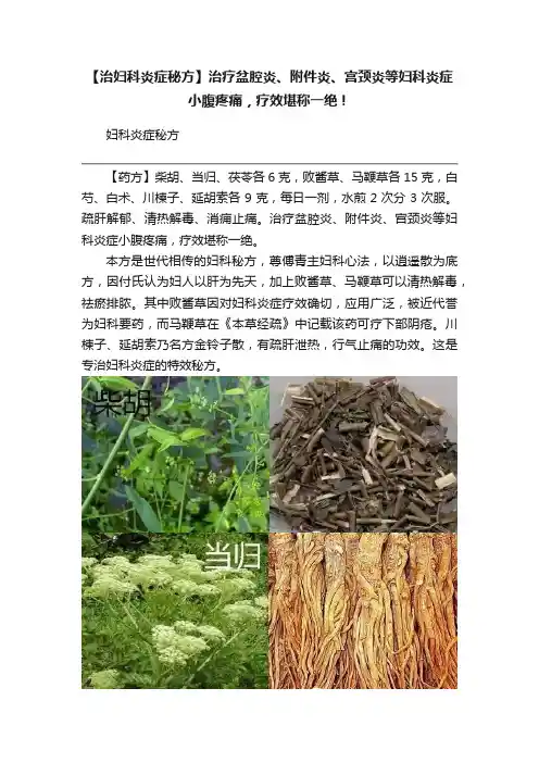 【治妇科炎症秘方】治疗盆腔炎、附件炎、宫颈炎等妇科炎症小腹疼痛，疗效堪称一绝！