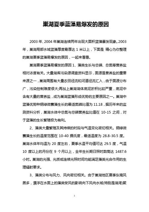 巢湖夏季蓝藻易爆发的原因