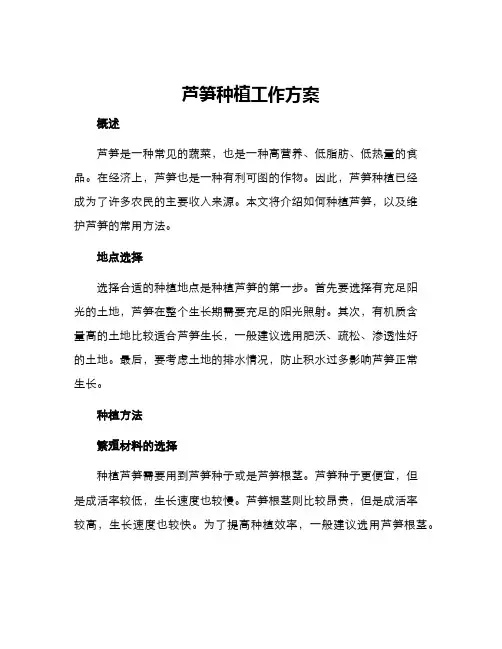 芦笋种植工作方案