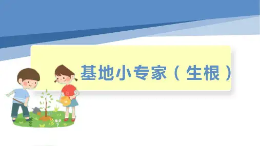 基地小专家(生根)六年级劳动PPT课件