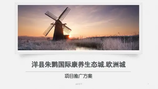 房龙智业洋县朱鹮国际康养生态城项目方案  ppt课件