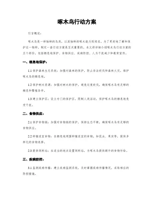 啄木鸟行动方案