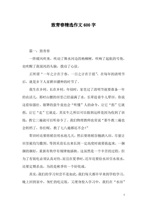致青春精选作文600字_1