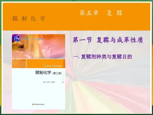 第5章复鞣