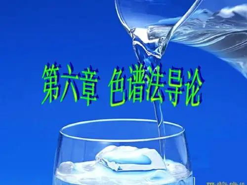 06.色谱法导论