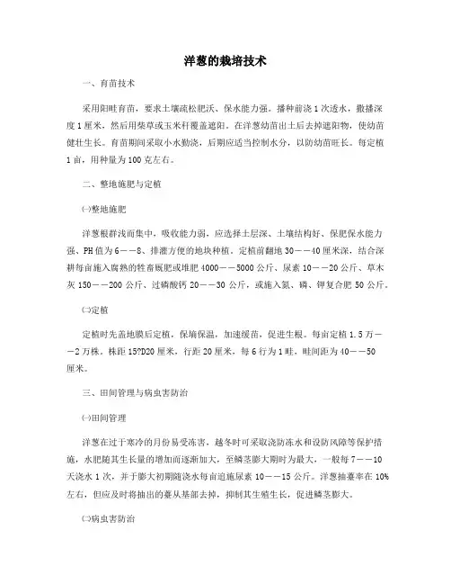 洋葱的栽培技术