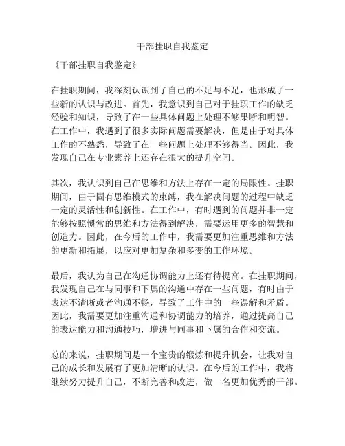 干部挂职自我鉴定