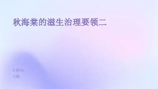 秋海棠的滋生治理要领二