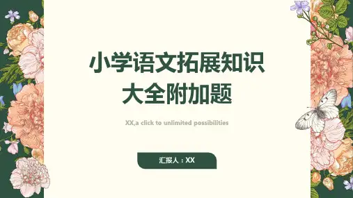 小学语文拓展知识大全附加题
