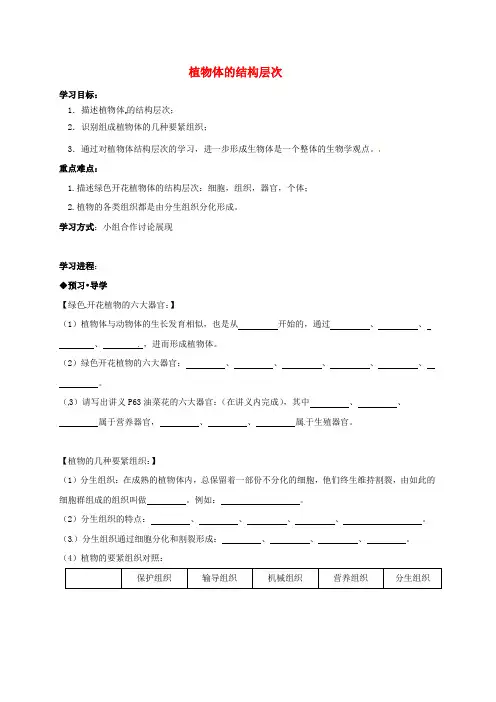 七年级生物上册22_3植物体的结构层次导学案无解答新版[新人教版]