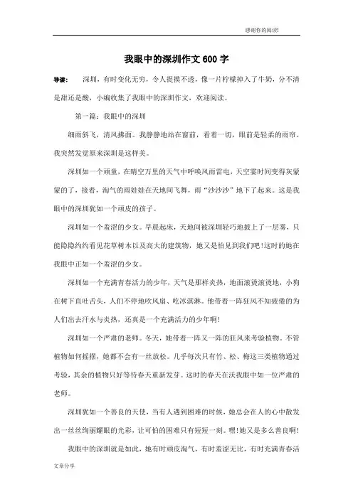 我眼中的深圳作文600字