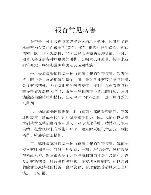 银杏常见病害
