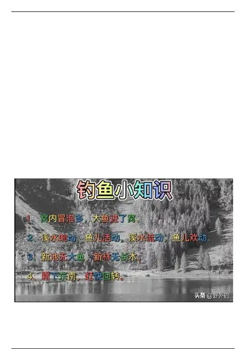 汇聚22句钓鱼顺口溜，100句钓鱼口诀。