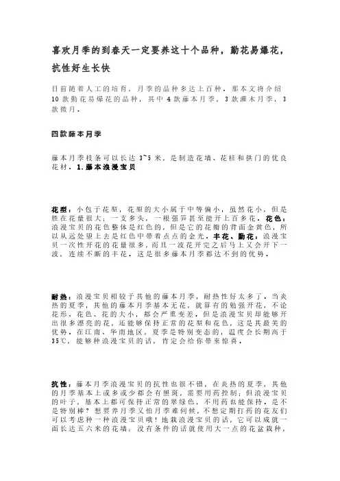 喜欢月季的到春天一定要养这十个品种,勤花易爆花,抗性好生长快