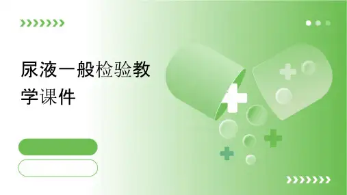尿液一般检验教学课件