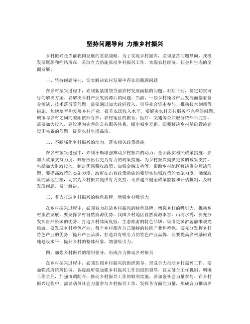 坚持问题导向 力推乡村振兴