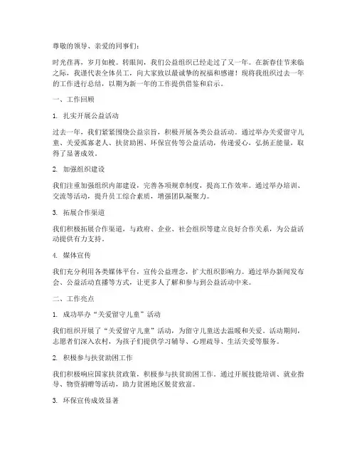 公益组织新春年度总结范文
