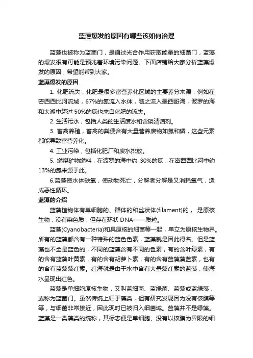 蓝藻爆发的原因有哪些该如何治理