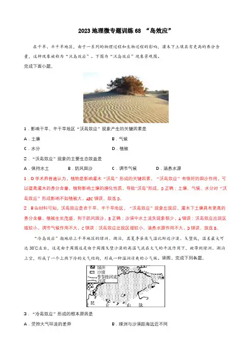 地理高考等级复习经典知识点微专题训练68   岛效应 含详解