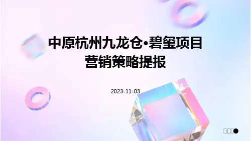 中原杭州九龙仓·碧玺项目营销策略提报