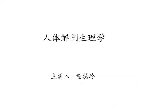 人体解剖生理学