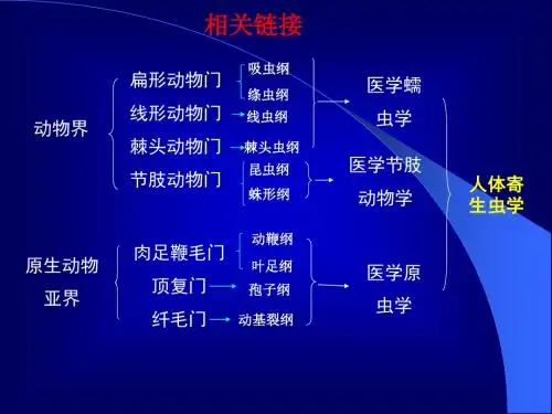 医学原虫溶组织内阿米巴PPT课件