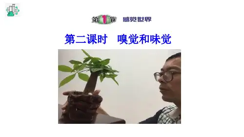 七年级下《感觉世界》ppt课件浙教版