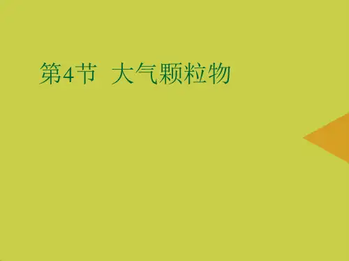 大气颗粒物最新PPT资料