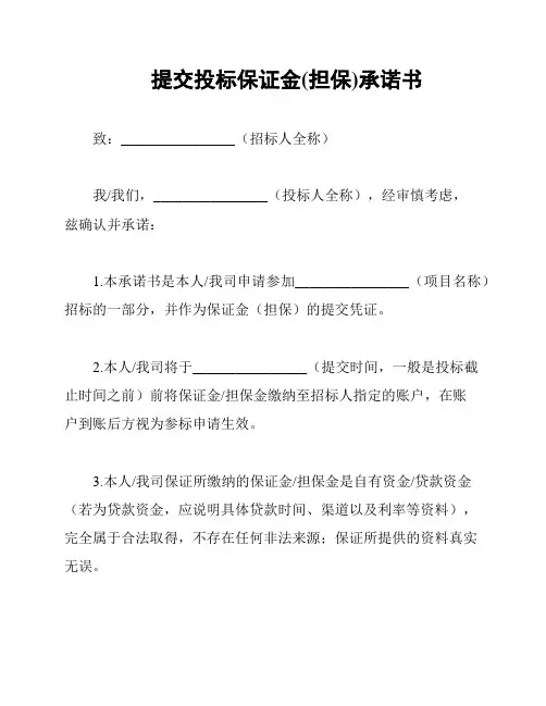 提交投标保证金(担保)承诺书