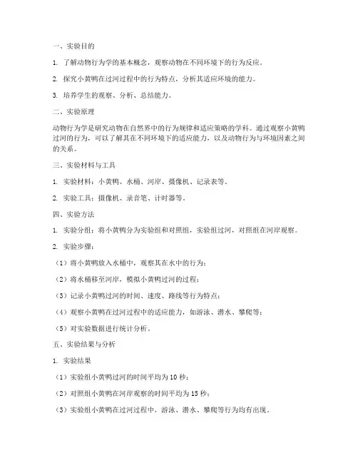 小黄鸭过河实验报告