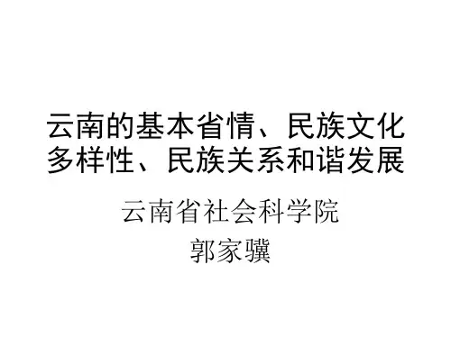 云南的基本省情