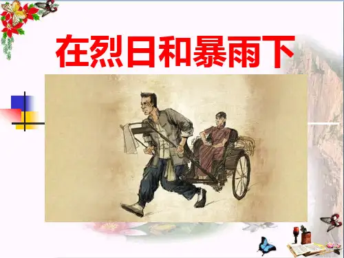 《在烈日和暴雨下》PPT优秀课件