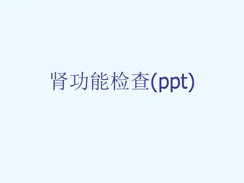 肾功能检查(ppt)
