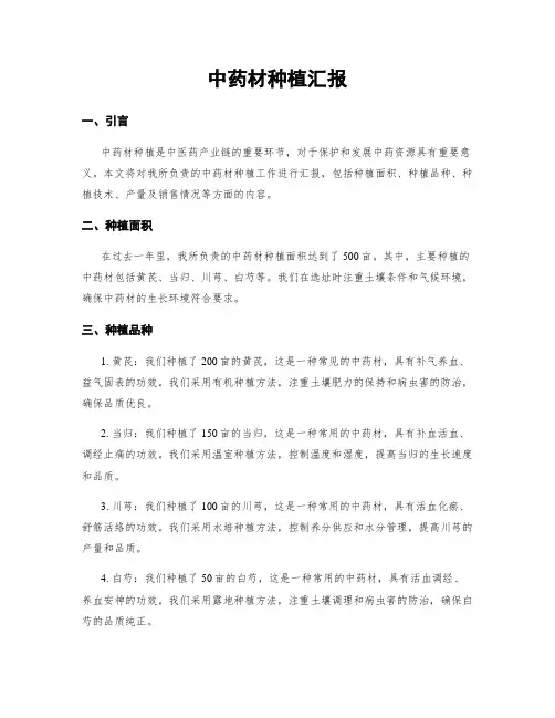 中药材种植汇报