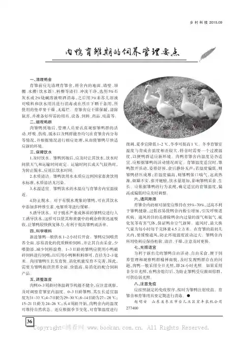 肉鸭育雏期的饲养管理要点