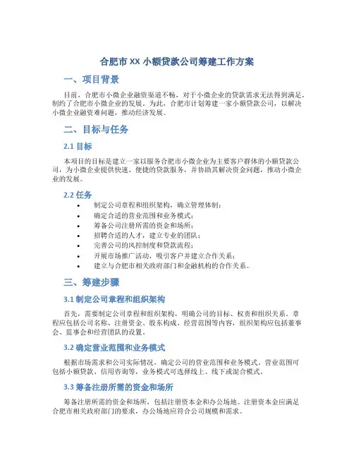 合肥市xx小额贷款公司筹建工作方案