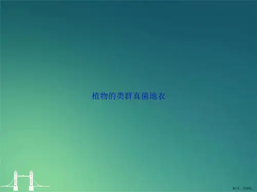 植物的类群真菌地衣讲课文档
