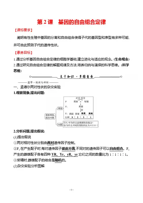5-2 基因的自由组合定律