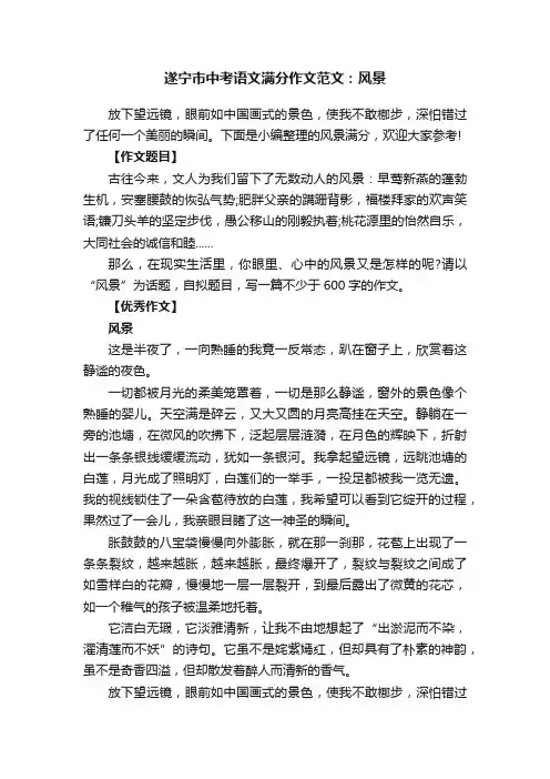 遂宁市中考语文满分作文范文：风景