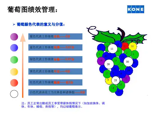 葡萄图绩效管理