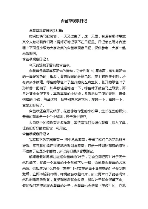 含羞草观察日记