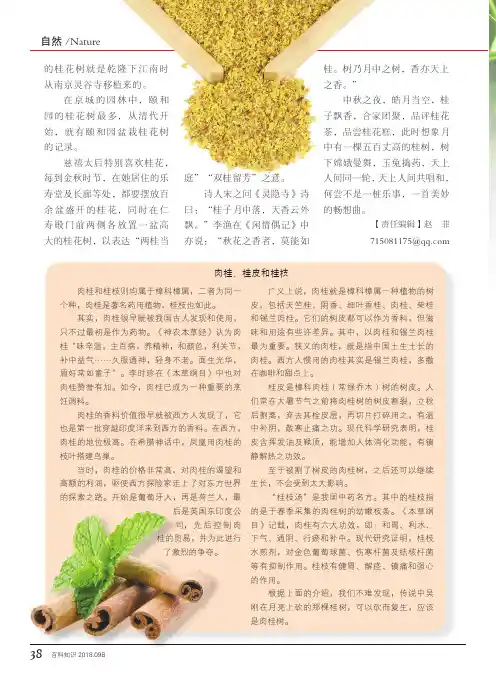 肉桂、桂皮和桂枝